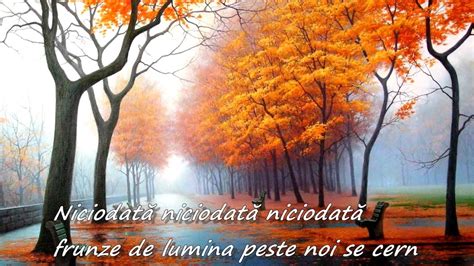 niciodata toamna tudor gheorghe